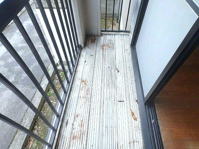 イメージ写真となっております。