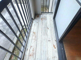 イメージ写真となっております。