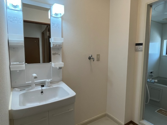 メゾン･テルシャトー D棟の独立洗面台|洗面所