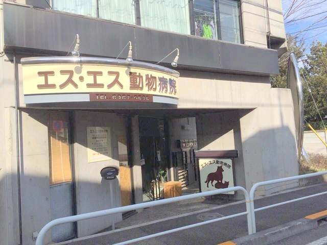 メゾン　フィル　デ　フェールのその他|エス・エス　動物病院