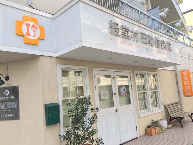 メゾン　フィル　デ　フェールのその他|経堂村田動物病院