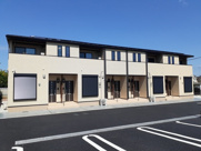 プラシードの画像