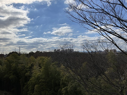 バルコニーからの眺望