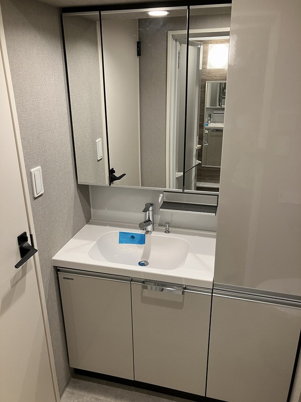 RELUXIA墨田東向島の洗面所