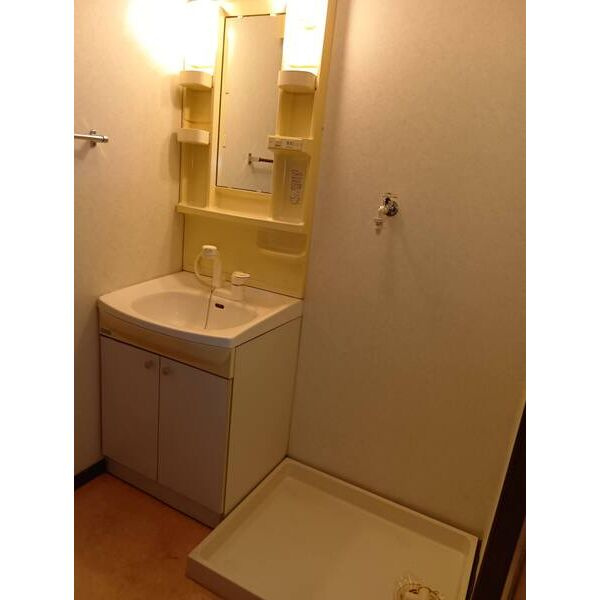 ネイ・フリーデンの洗面所