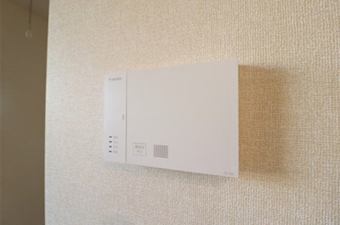 ラプエルタのその他