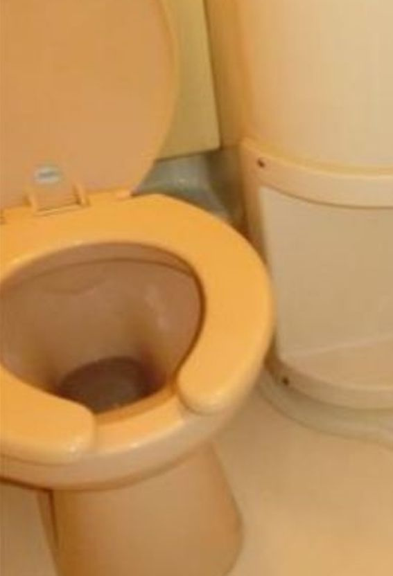 VIP富士見台のトイレ|トレイ☆