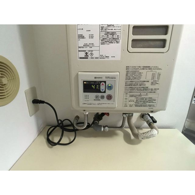 マイネルロッヂⅡのその他