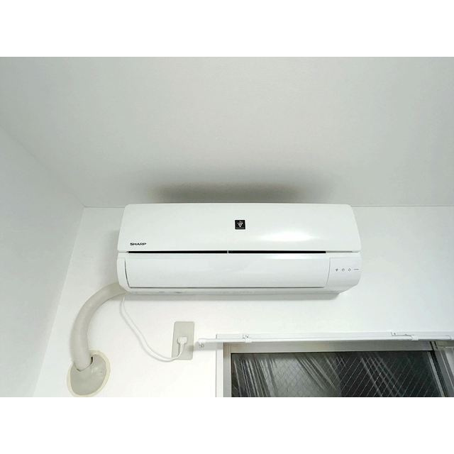 マイネルロッヂⅡのその他