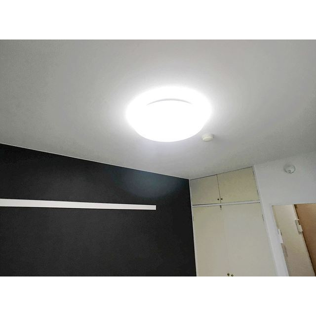 マイネルロッヂⅡのその他