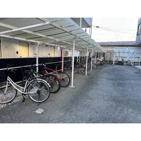 マイネルロッヂⅡのその他