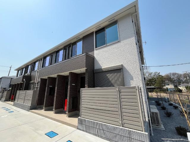 ＧＲＥＥＮ　ＳＯＲＲＥＬ　Ⅱ（グリーン　ソレル　ツー）