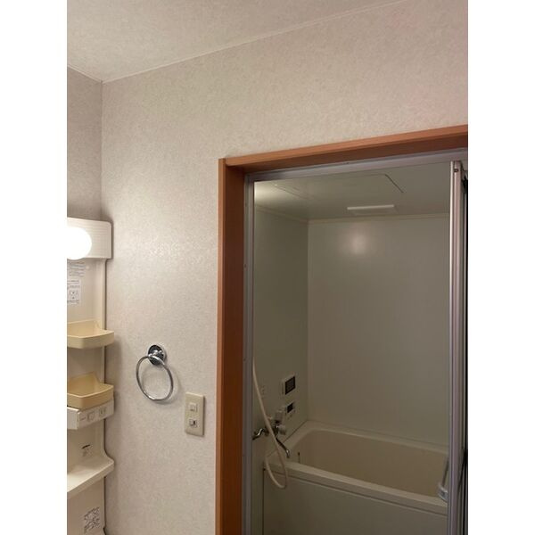 ネイフリーデンⅡの洗面所