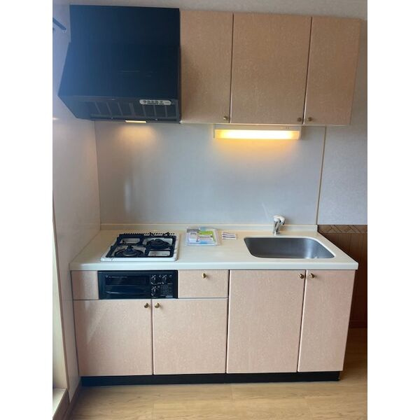 ネイフリーデンⅡのキッチン