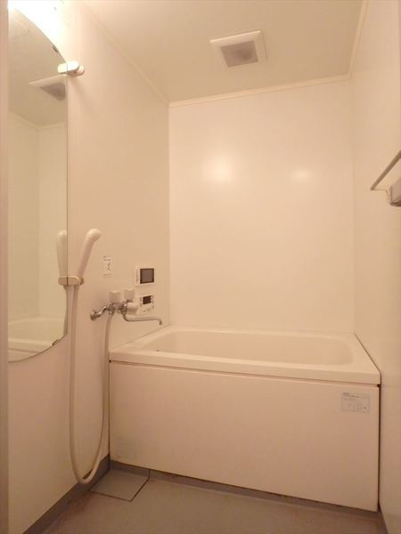 ネイフリーデンⅡの浴室