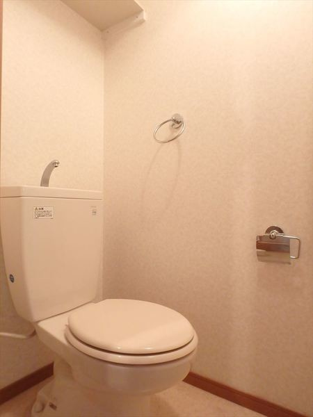 ネイフリーデンⅡのトイレ