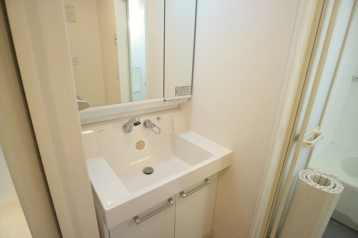 グレース・メゾン B棟の洗面所