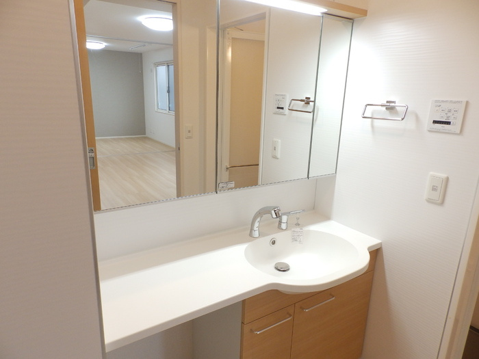 アコルトD棟の洗面所