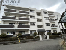 パープルツィン園田の画像