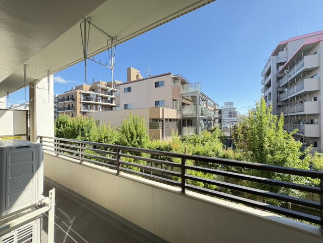 ローズガーデンの展望