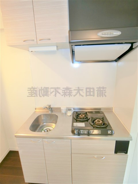 ルーブル西蒲田弐番館のキッチン|2口ガスシステムキッチン　