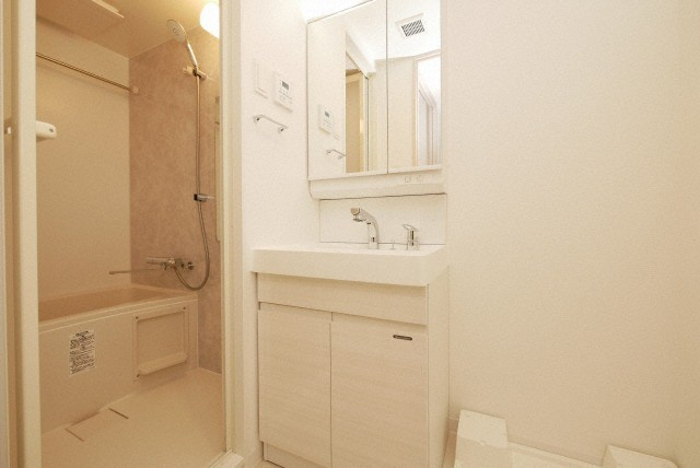 S-RESIDENCE難波大国町Tresの洗面所