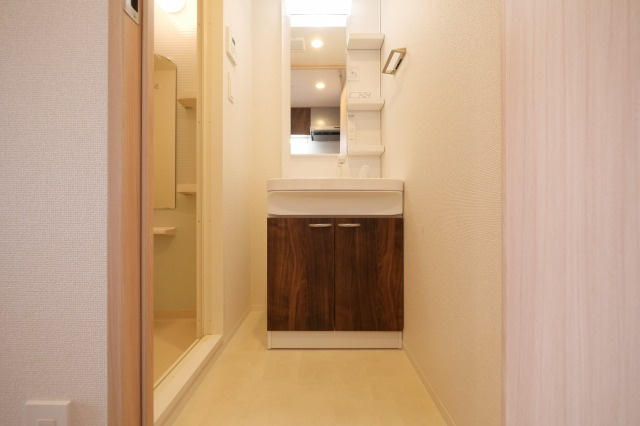 スワンズシティ大阪エスクレアの洗面所