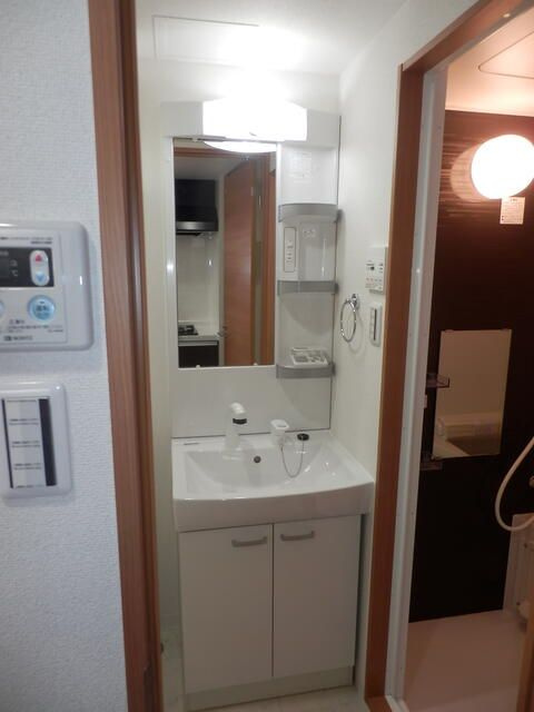 グランフォース谷在家の洗面所