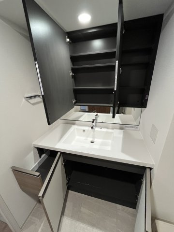 パークアクシス市川の洗面所