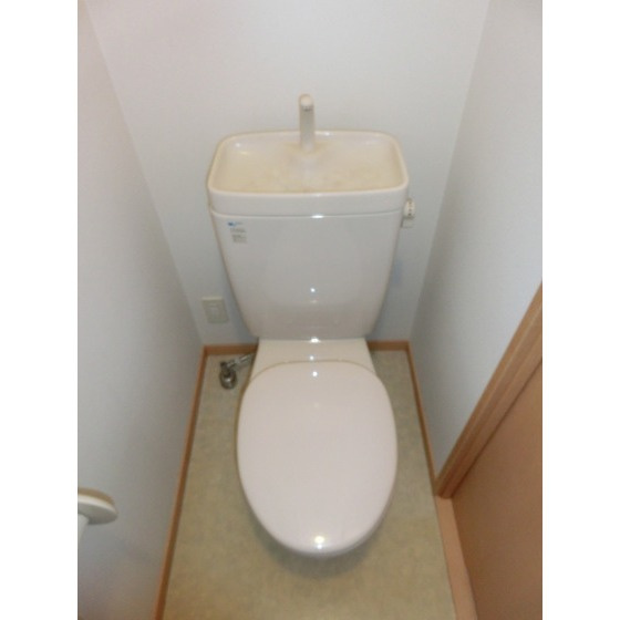 熊本市中央区琴平１丁目の賃貸マンションのトイレ