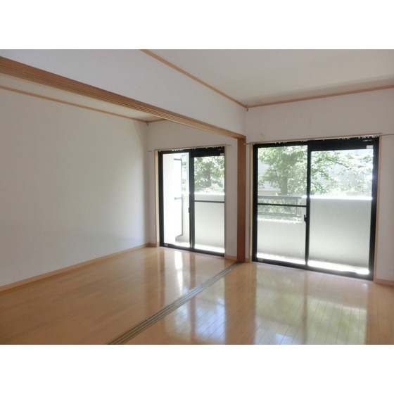 熊本市中央区琴平１丁目の賃貸マンションの内装