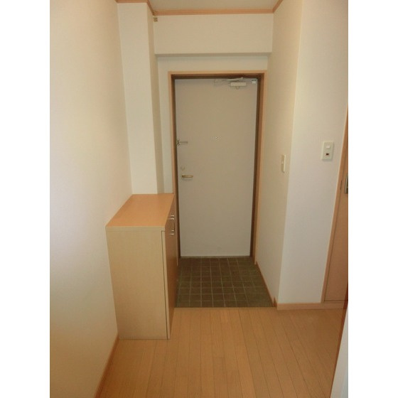 熊本市中央区琴平１丁目の賃貸マンションの玄関