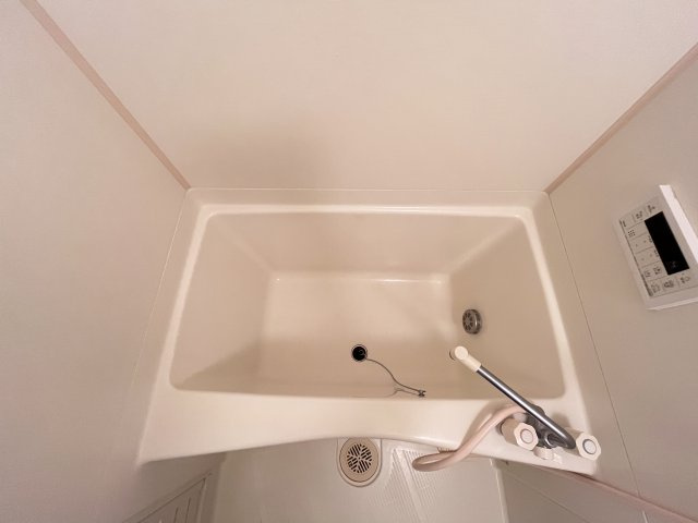 グリーンドゥ・ダイワの浴室