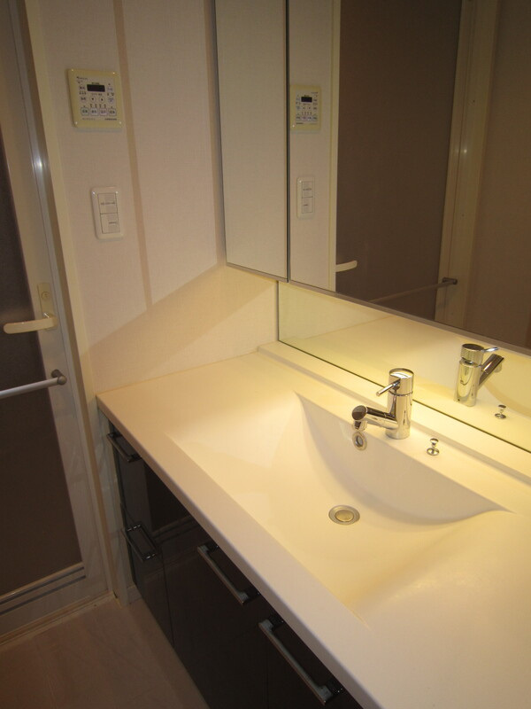 コンシェリア西新宿TOWER'S WESTの独立洗面台