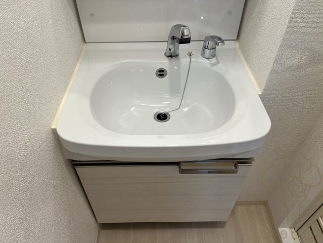 プレサンス梅田北オールの洗面所