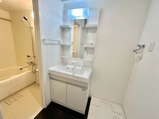 キャッスルコート龍野町Ⅱの独立洗面台