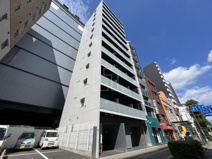 Primavera Nakanoshimaの画像