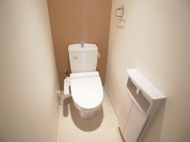 菊池郡菊陽町大字原水の賃貸マンションのトイレ