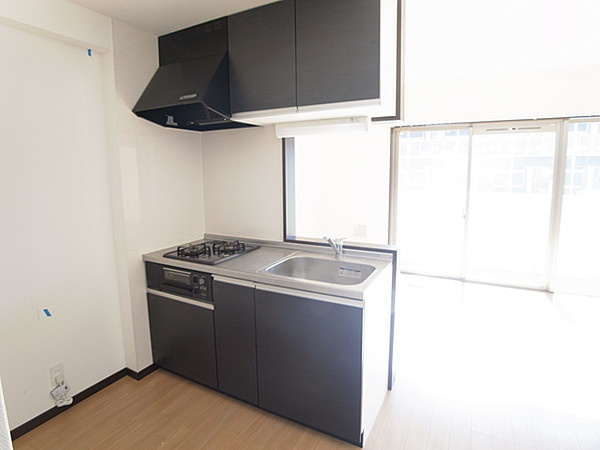 菊池郡菊陽町大字原水の賃貸マンションのキッチン