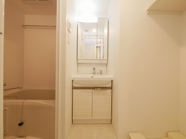 エスリード難波ザ・メゾンの洗面所