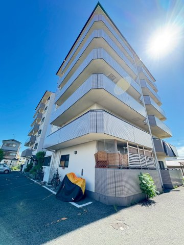 キャニオン・アングル