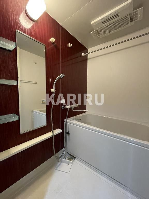 グランデカワノ真田山の浴室