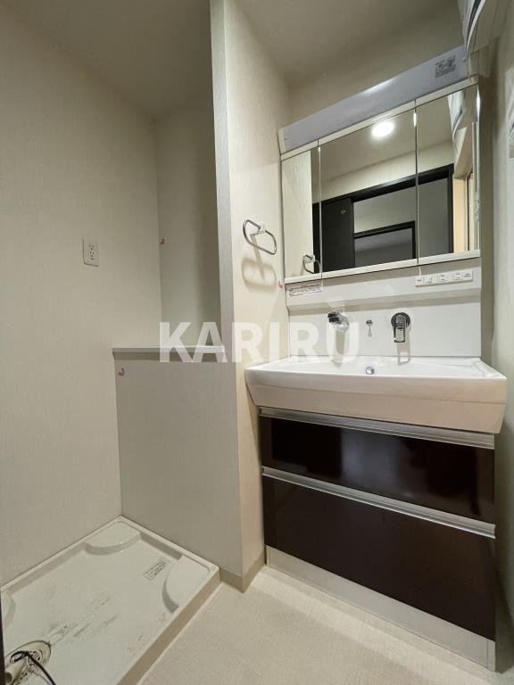 グランデカワノ真田山の洗面所