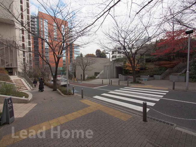 【その他】 | 六本木ヒルズレジデンスＤ棟 | 前面道路