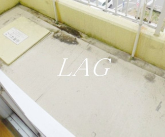 【バルコニー】 | プレステージ浦和 | バルコニーです。（同仕様です。）