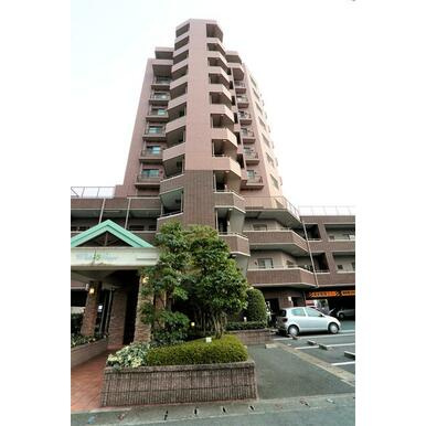 熊本市中央区島崎１丁目の賃貸マンションの外観