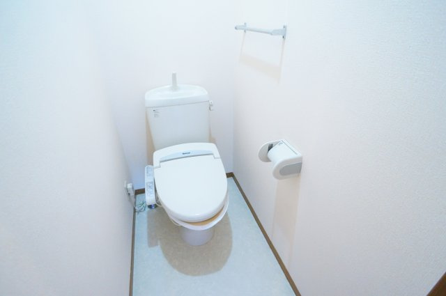 メゾンプレミールＡの洗面所