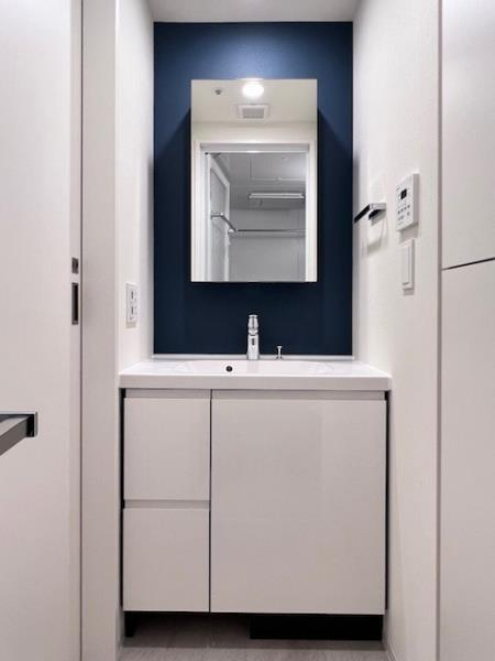 Ｂｒｉｌｌｉａ　ｉｓｔ　大井町の洗面所