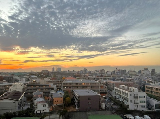 【展望】 | 代々木パークガーデン