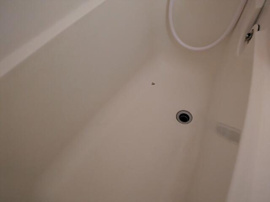 バストイレ同室！